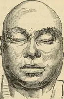 Picture 12 of 697 from New Physiognomy : or signs of character, as manifested through temperament and external forms, and especially in the "the human face divine." (1889), leaf 32