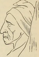 Picture 290 of 697 from New Physiognomy : or signs of character, as manifested through temperament and external forms, and especially in the "the human face divine." (1889), leaf 347