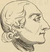 Picture 15 of 697 from New Physiognomy : or signs of character, as manifested through temperament and external forms, and especially in the "the human face divine." (1889), leaf 35