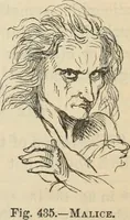 Picture 292 of 697 from New Physiognomy : or signs of character, as manifested through temperament and external forms, and especially in the "the human face divine." (1889), leaf 350