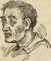 Picture 301 of 697 from New Physiognomy : or signs of character, as manifested through temperament and external forms, and especially in the "the human face divine." (1889), leaf 357