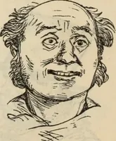 Picture 302 of 697 from New Physiognomy : or signs of character, as manifested through temperament and external forms, and especially in the "the human face divine." (1889), leaf 357