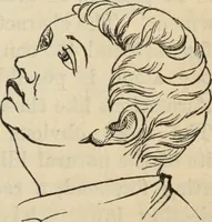 Picture 307 of 697 from New Physiognomy : or signs of character, as manifested through temperament and external forms, and especially in the "the human face divine." (1889), leaf 362