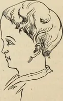 Picture 308 of 697 from New Physiognomy : or signs of character, as manifested through temperament and external forms, and especially in the "the human face divine." (1889), leaf 363