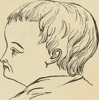 Picture 309 of 697 from New Physiognomy : or signs of character, as manifested through temperament and external forms, and especially in the "the human face divine." (1889), leaf 364