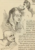 Picture 331 of 697 from New Physiognomy : or signs of character, as manifested through temperament and external forms, and especially in the "the human face divine." (1889), leaf 385