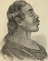 Picture 341 of 697 from New Physiognomy : or signs of character, as manifested through temperament and external forms, and especially in the "the human face divine." (1889), leaf 393