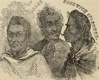 Picture 342 of 697 from New Physiognomy : or signs of character, as manifested through temperament and external forms, and especially in the "the human face divine." (1889), leaf 393