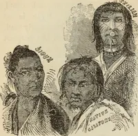 Picture 345 of 697 from New Physiognomy : or signs of character, as manifested through temperament and external forms, and especially in the "the human face divine." (1889), leaf 395