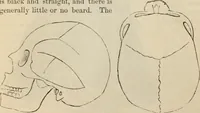 Picture 346 of 697 from New Physiognomy : or signs of character, as manifested through temperament and external forms, and especially in the "the human face divine." (1889), leaf 395