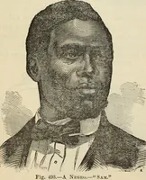 Picture 348 of 697 from New Physiognomy : or signs of character, as manifested through temperament and external forms, and especially in the "the human face divine." (1889), leaf 396