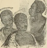 Picture 349 of 697 from New Physiognomy : or signs of character, as manifested through temperament and external forms, and especially in the "the human face divine." (1889), leaf 397