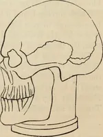Picture 354 of 697 from New Physiognomy : or signs of character, as manifested through temperament and external forms, and especially in the "the human face divine." (1889), leaf 401