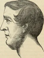Picture 370 of 697 from New Physiognomy : or signs of character, as manifested through temperament and external forms, and especially in the "the human face divine." (1889), leaf 412