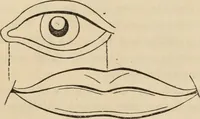 Picture 17 of 697 from New Physiognomy : or signs of character, as manifested through temperament and external forms, and especially in the "the human face divine." (1889), leaf 45