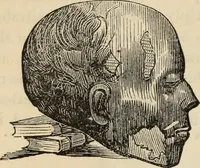 Picture 410 of 697 from New Physiognomy : or signs of character, as manifested through temperament and external forms, and especially in the "the human face divine." (1889), leaf 455