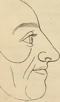 Picture 18 of 697 from New Physiognomy : or signs of character, as manifested through temperament and external forms, and especially in the "the human face divine." (1889), leaf 47