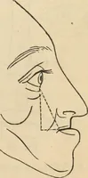 Picture 19 of 697 from New Physiognomy : or signs of character, as manifested through temperament and external forms, and especially in the "the human face divine." (1889), leaf 48