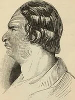 Picture 445 of 697 from New Physiognomy : or signs of character, as manifested through temperament and external forms, and especially in the "the human face divine." (1889), leaf 481