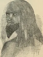 Picture 446 of 697 from New Physiognomy : or signs of character, as manifested through temperament and external forms, and especially in the "the human face divine." (1889), leaf 482