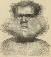 Picture 447 of 697 from New Physiognomy : or signs of character, as manifested through temperament and external forms, and especially in the "the human face divine." (1889), leaf 483
