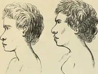 Picture 451 of 697 from New Physiognomy : or signs of character, as manifested through temperament and external forms, and especially in the "the human face divine." (1889), leaf 486