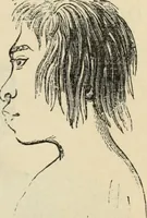 Picture 452 of 697 from New Physiognomy : or signs of character, as manifested through temperament and external forms, and especially in the "the human face divine." (1889), leaf 486