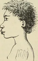 Picture 454 of 697 from New Physiognomy : or signs of character, as manifested through temperament and external forms, and especially in the "the human face divine." (1889), leaf 486