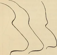 Picture 20 of 697 from New Physiognomy : or signs of character, as manifested through temperament and external forms, and especially in the "the human face divine." (1889), leaf 49