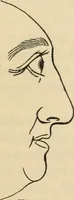 Picture 22 of 697 from New Physiognomy : or signs of character, as manifested through temperament and external forms, and especially in the "the human face divine." (1889), leaf 50