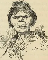 Picture 474 of 697 from New Physiognomy : or signs of character, as manifested through temperament and external forms, and especially in the "the human face divine." (1889), leaf 544
