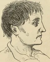 Picture 490 of 697 from New Physiognomy : or signs of character, as manifested through temperament and external forms, and especially in the "the human face divine." (1889), leaf 560