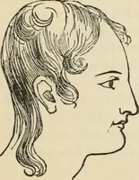 Picture 502 of 697 from New Physiognomy : or signs of character, as manifested through temperament and external forms, and especially in the "the human face divine." (1889), leaf 572