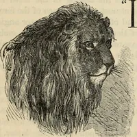 Picture 515 of 697 from New Physiognomy : or signs of character, as manifested through temperament and external forms, and especially in the "the human face divine." (1889), leaf 590