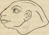 Picture 517 of 697 from New Physiognomy : or signs of character, as manifested through temperament and external forms, and especially in the "the human face divine." (1889), leaf 593