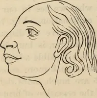 Picture 519 of 697 from New Physiognomy : or signs of character, as manifested through temperament and external forms, and especially in the "the human face divine." (1889), leaf 593