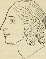 Picture 521 of 697 from New Physiognomy : or signs of character, as manifested through temperament and external forms, and especially in the "the human face divine." (1889), leaf 594