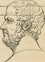 Picture 536 of 697 from New Physiognomy : or signs of character, as manifested through temperament and external forms, and especially in the "the human face divine." (1889), leaf 608