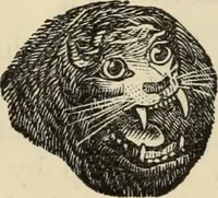 Picture 537 of 697 from New Physiognomy : or signs of character, as manifested through temperament and external forms, and especially in the "the human face divine." (1889), leaf 610