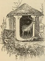 Picture 538 of 697 from New Physiognomy : or signs of character, as manifested through temperament and external forms, and especially in the "the human face divine." (1889), leaf 611