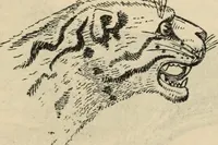 Picture 543 of 697 from New Physiognomy : or signs of character, as manifested through temperament and external forms, and especially in the "the human face divine." (1889), leaf 614