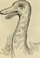 Picture 555 of 697 from New Physiognomy : or signs of character, as manifested through temperament and external forms, and especially in the "the human face divine." (1889), leaf 622