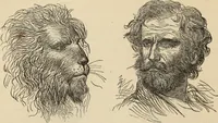Picture 558 of 697 from New Physiognomy : or signs of character, as manifested through temperament and external forms, and especially in the "the human face divine." (1889), leaf 623