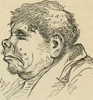 Picture 562 of 697 from New Physiognomy : or signs of character, as manifested through temperament and external forms, and especially in the "the human face divine." (1889), leaf 624