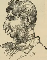 Picture 564 of 697 from New Physiognomy : or signs of character, as manifested through temperament and external forms, and especially in the "the human face divine." (1889), leaf 624