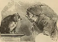 Picture 565 of 697 from New Physiognomy : or signs of character, as manifested through temperament and external forms, and especially in the "the human face divine." (1889), leaf 625
