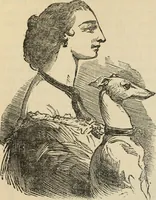 Picture 569 of 697 from New Physiognomy : or signs of character, as manifested through temperament and external forms, and especially in the "the human face divine." (1889), leaf 628