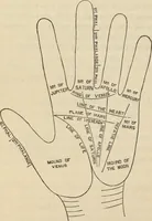 Picture 576 of 697 from New Physiognomy : or signs of character, as manifested through temperament and external forms, and especially in the "the human face divine." (1889), leaf 641