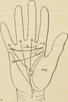 Picture 577 of 697 from New Physiognomy : or signs of character, as manifested through temperament and external forms, and especially in the "the human face divine." (1889), leaf 642