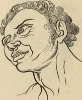 Picture 593 of 697 from New Physiognomy : or signs of character, as manifested through temperament and external forms, and especially in the "the human face divine." (1889), leaf 653